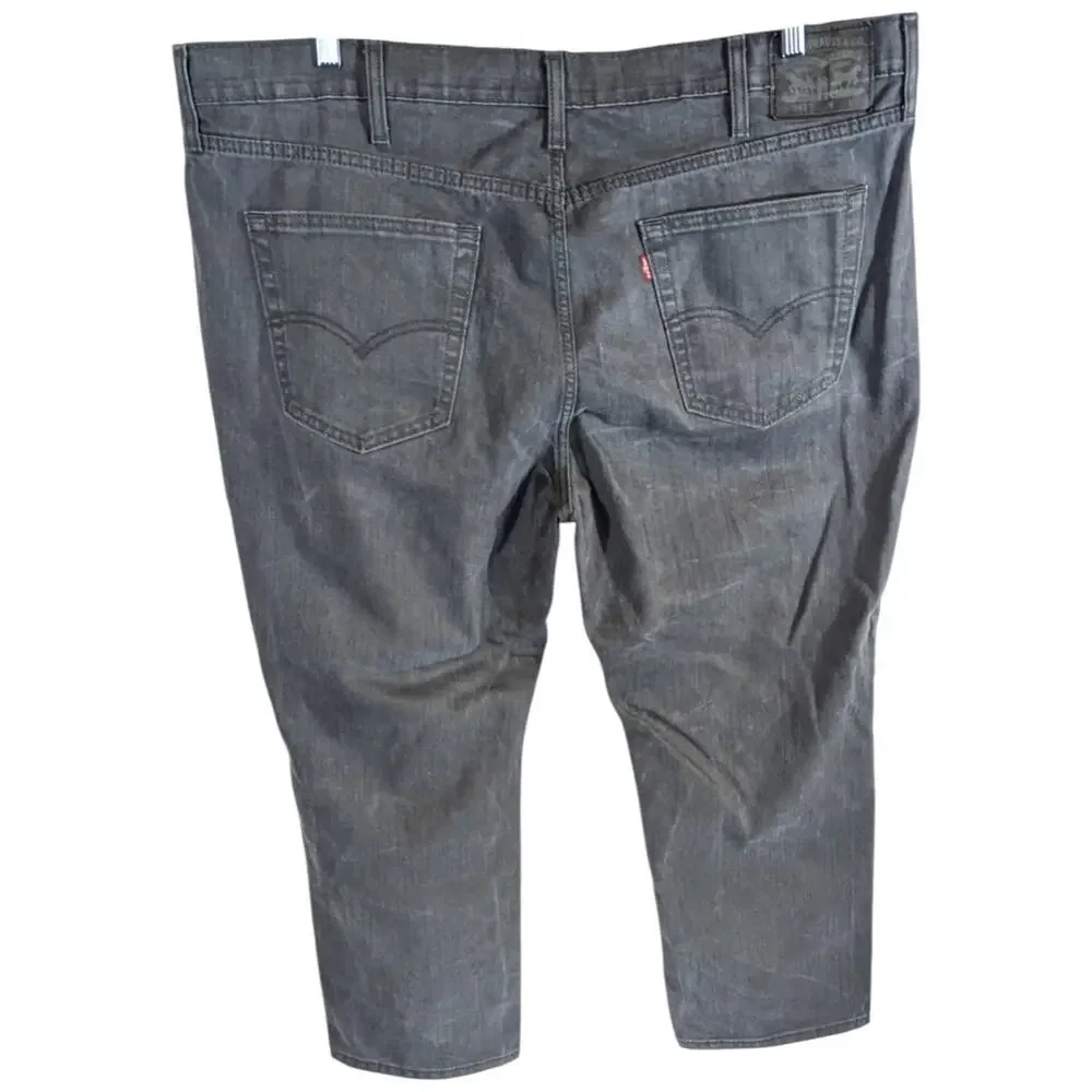 Levis levis 541